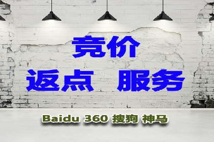 百度SEO推广案例解析与效果评估